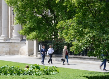 Green spaces establish contemplation and focus